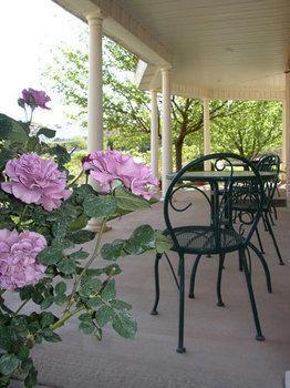 Novel House Inn At Zion สปริงเดล ภายนอก รูปภาพ